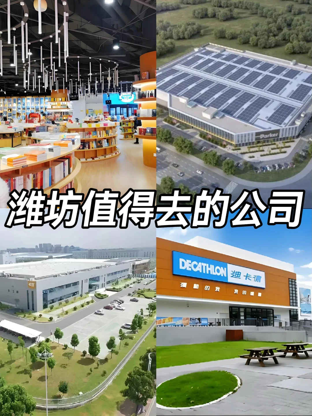 潍坊神仙公司✨工作福利好 跳槽大胆冲✅