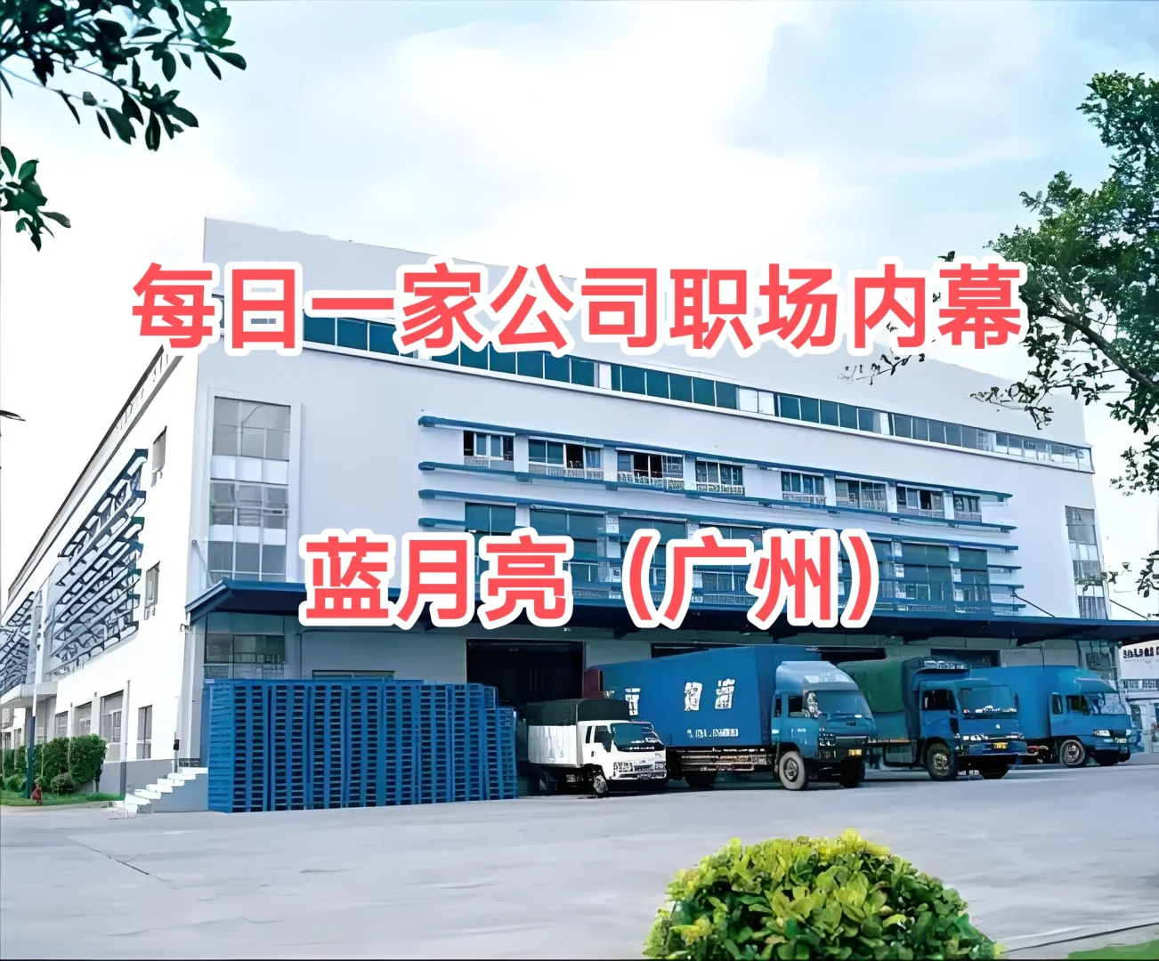每日一家公司职场内幕——蓝月亮（广州）