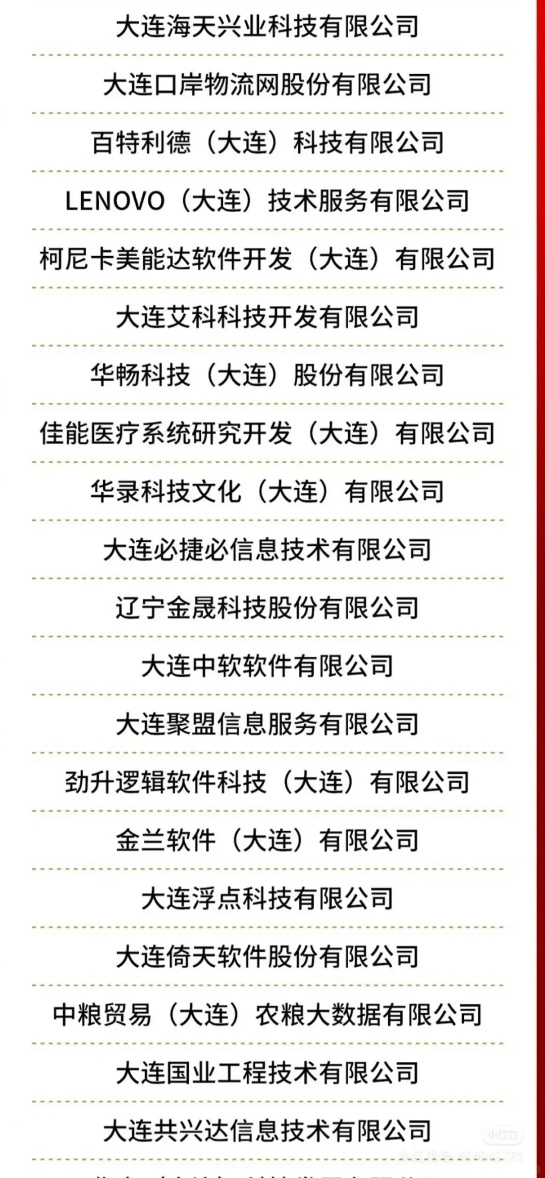 大连软件企业100强 2024年
