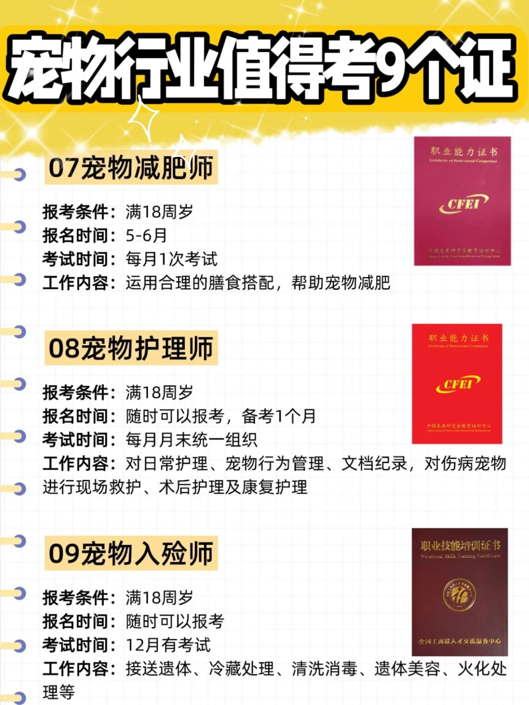 张雪峰:下一个风口是宠物行业，未来很吃香