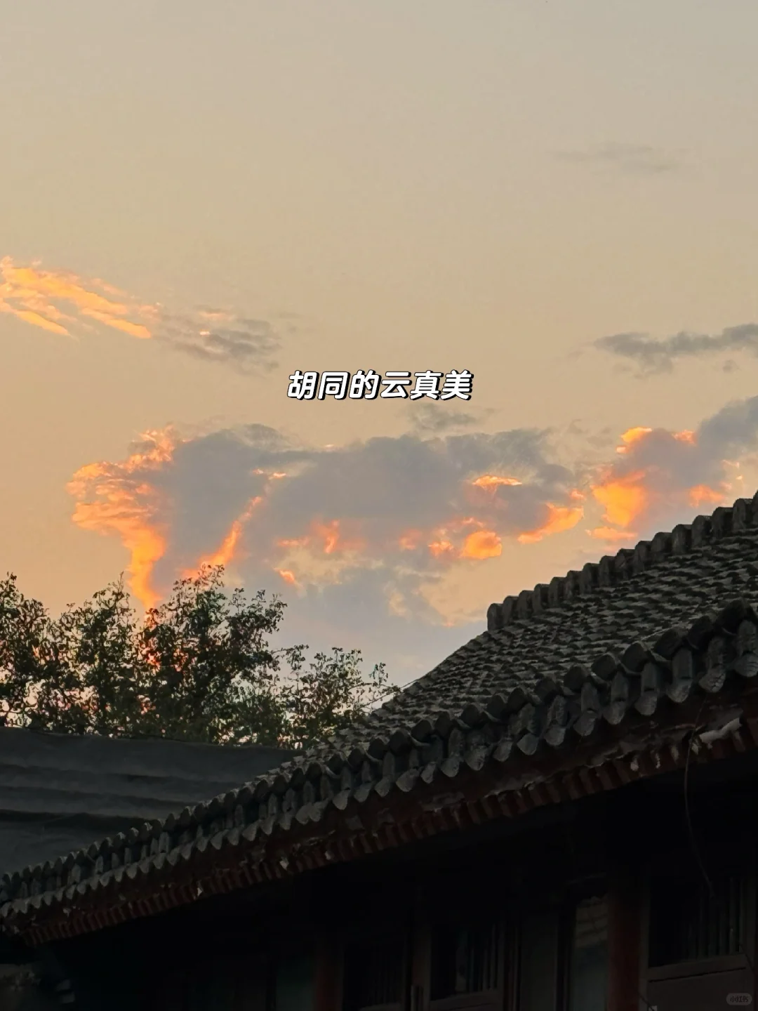 酒行业打工人?|职场“王鸥”打工记?️