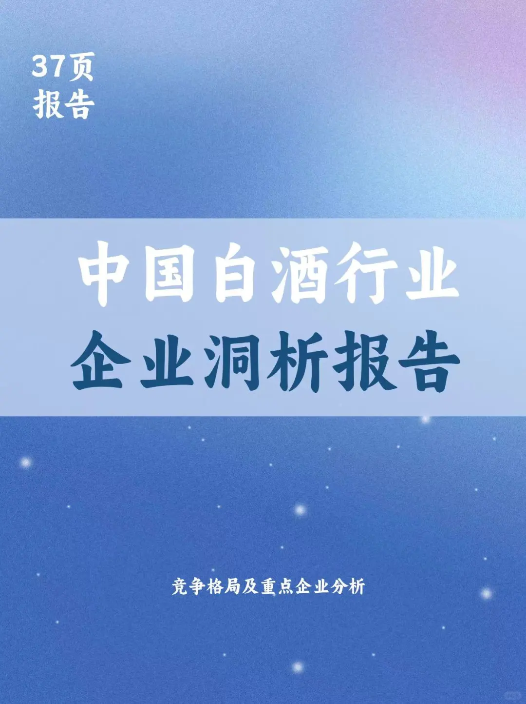白酒行业企业洞析报告