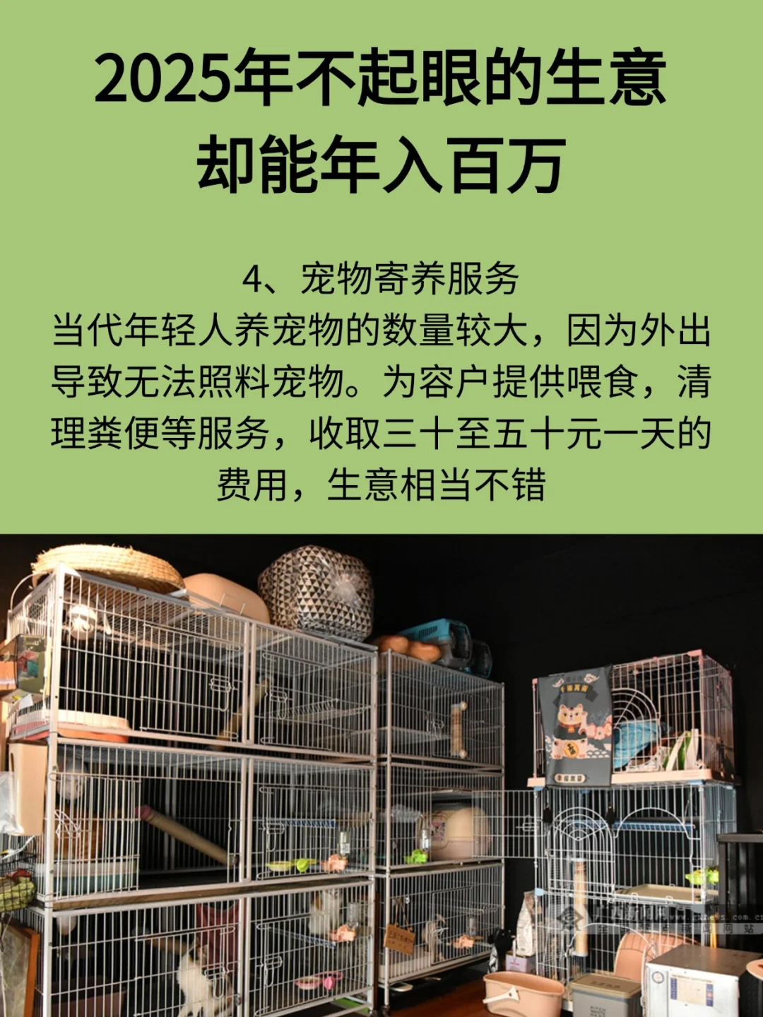 2025年不起眼的生意，却能年入百万