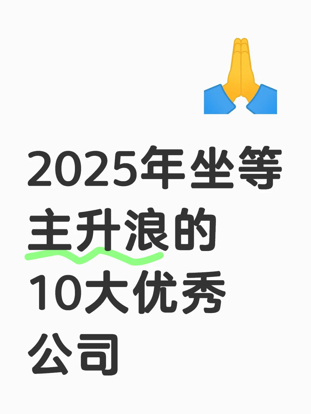 2025年坐等主升浪的10大优秀公司