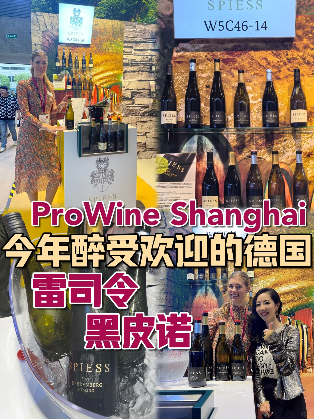 今年醉受欢迎的德国雷司令，德国黑皮诺