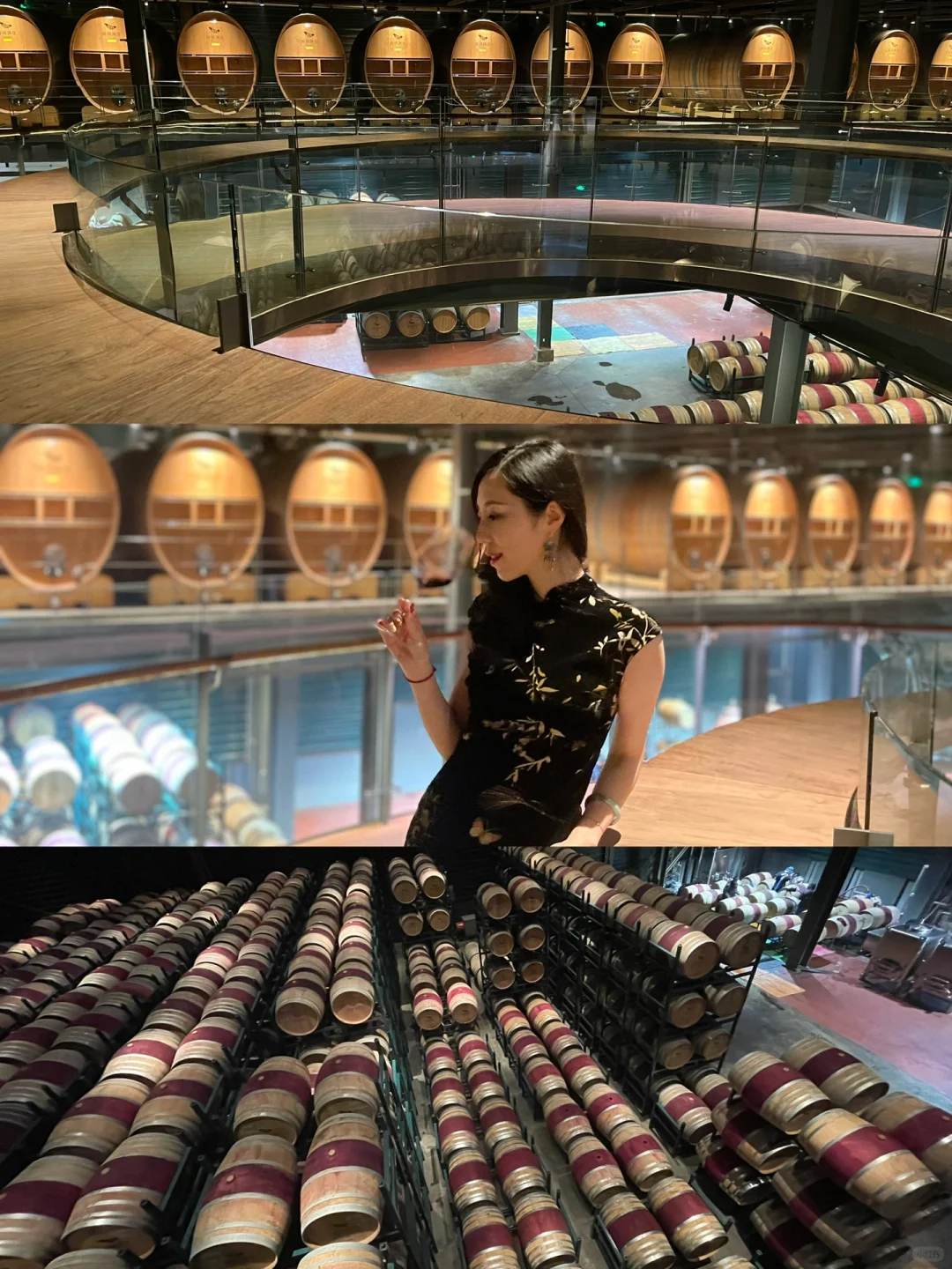 中国醉美酒庄，宁夏贺兰山东麓西鸽酒庄