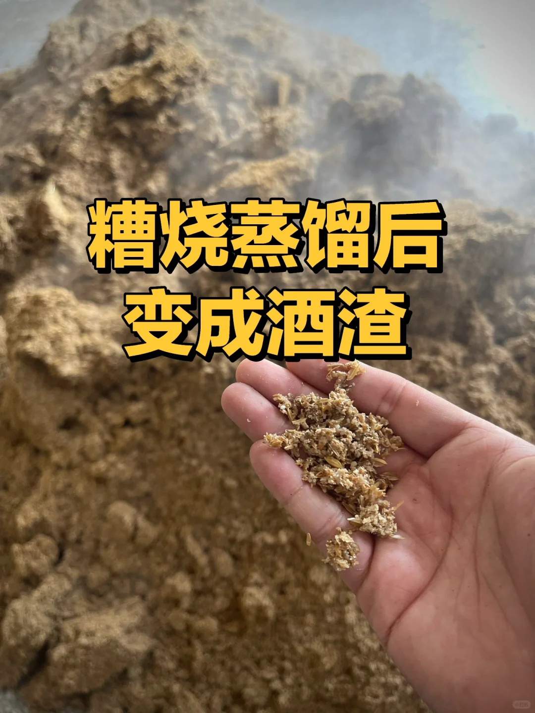 行业揭秘｜黄酒液态叫汗酒，白酒液态叫科技？