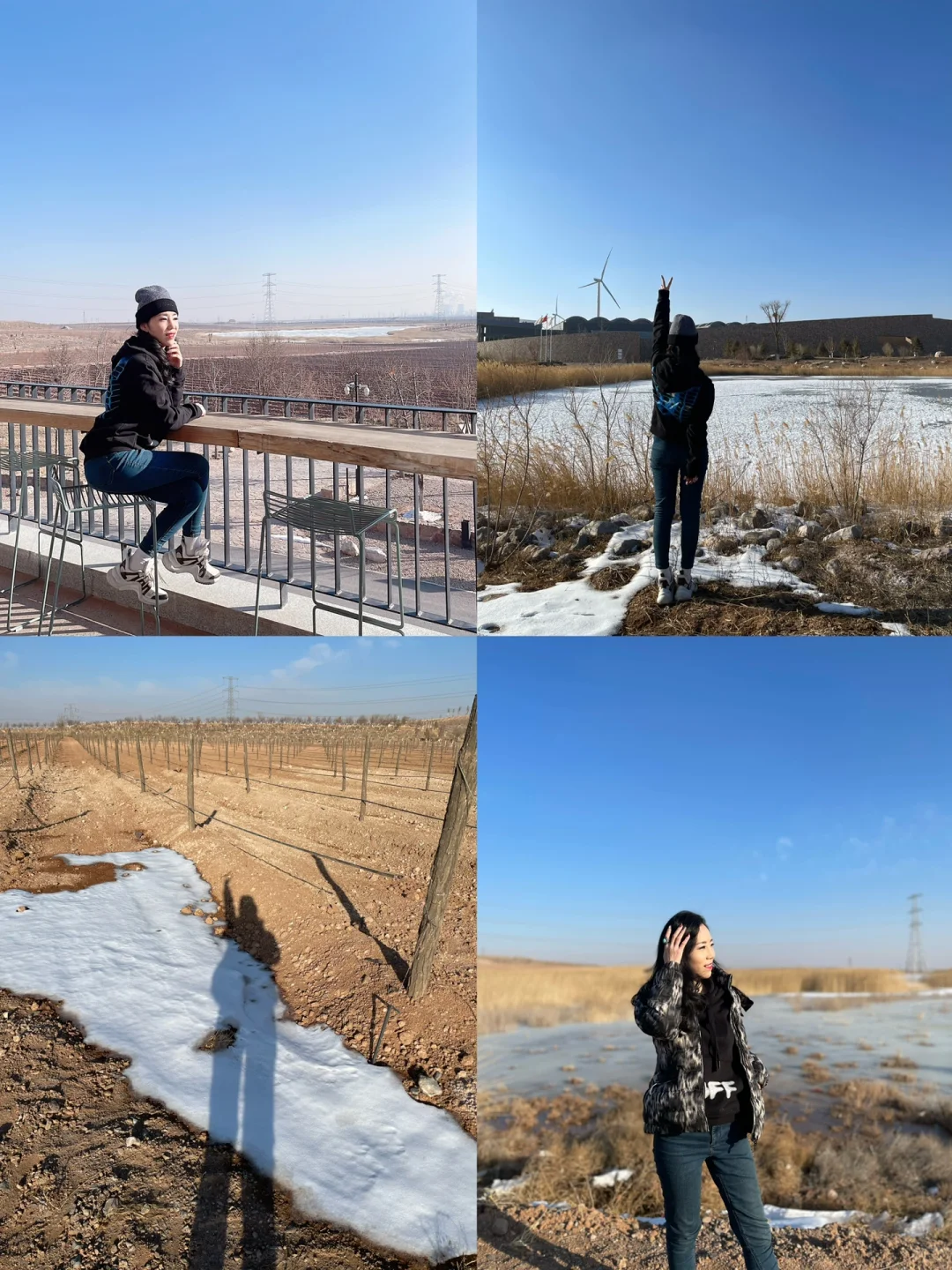 中国醉美酒庄，宁夏贺兰山东麓西鸽酒庄