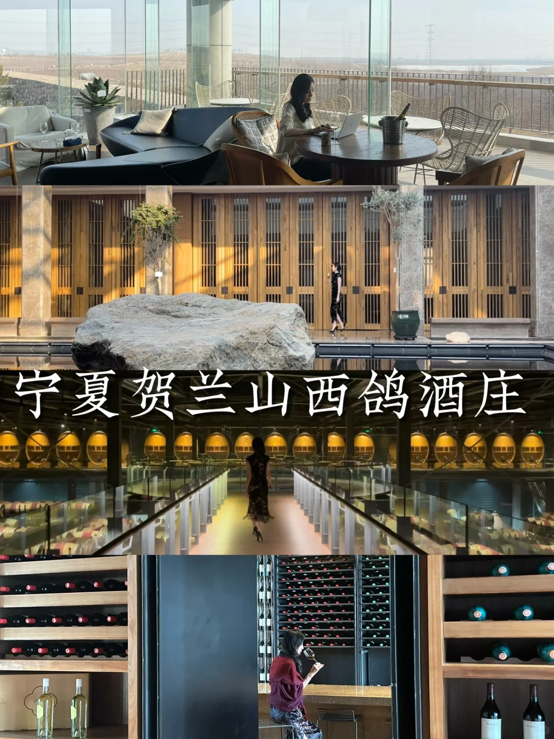 中国醉美酒庄，宁夏贺兰山东麓西鸽酒庄