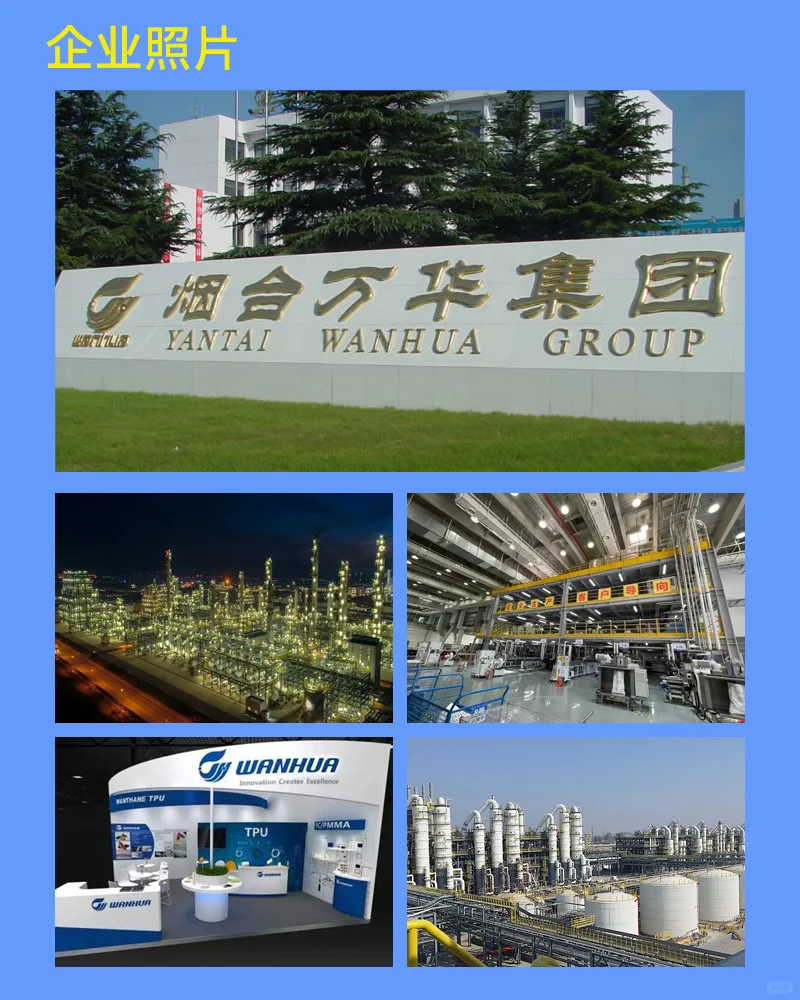每周了解一家大厂，NO.5：万华化学！