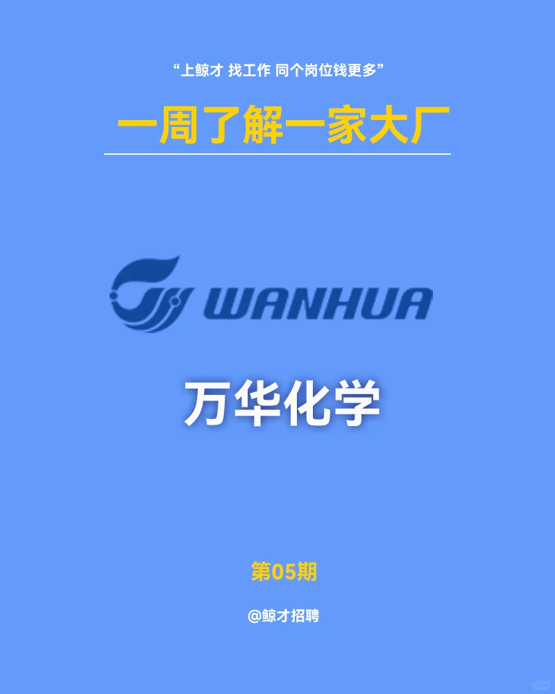 每周了解一家大厂，NO.5：万华化学！