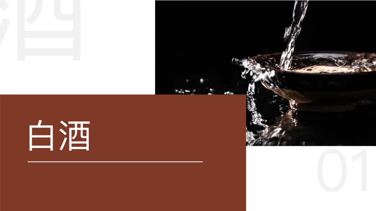 快手行业人群画像报告-酒类目