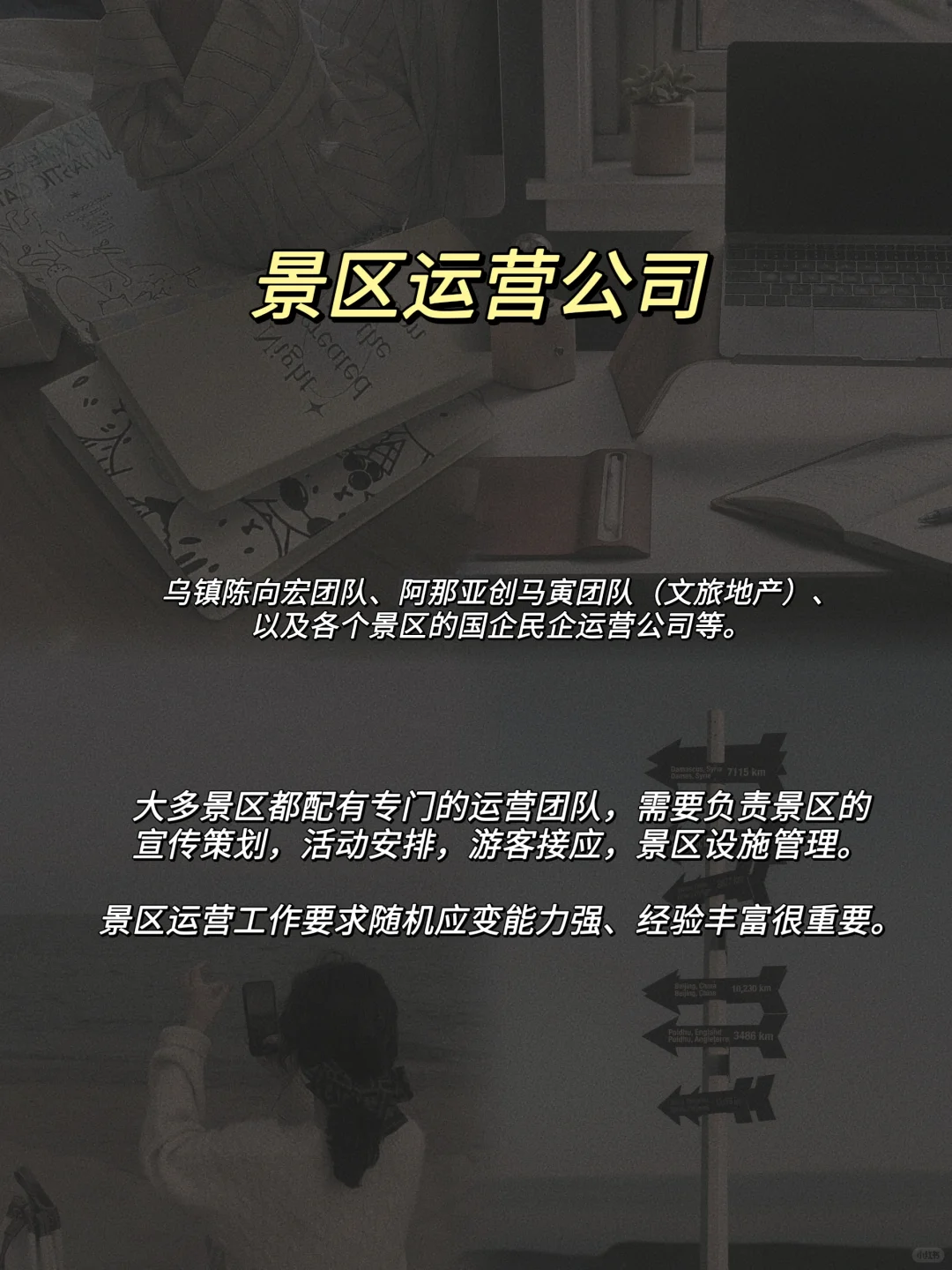 转行文旅必看！！ 文旅公司大盘点