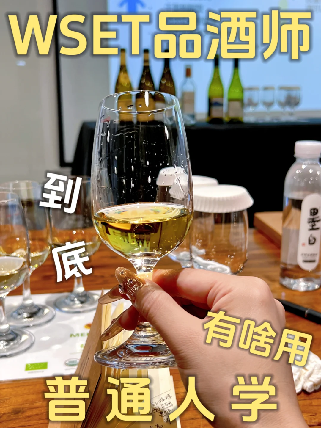 WSET? | 拿下二级品酒师