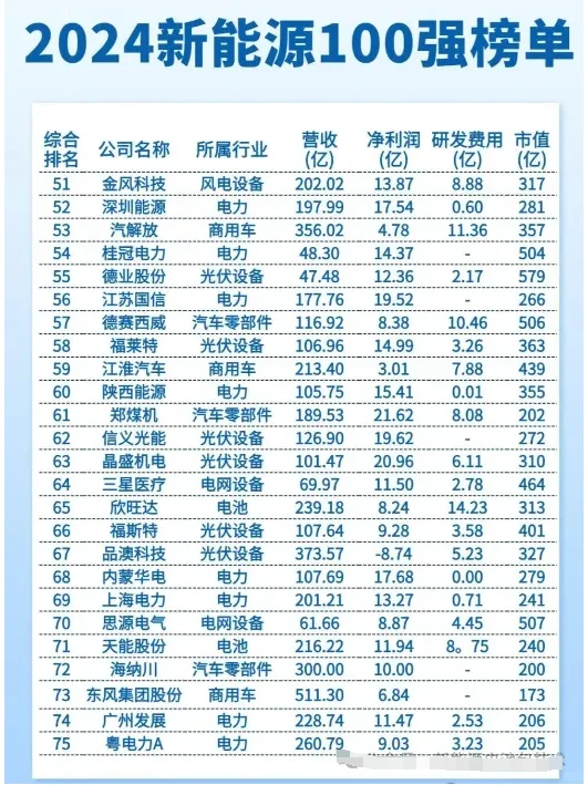 2024年中国新能源100强榜单