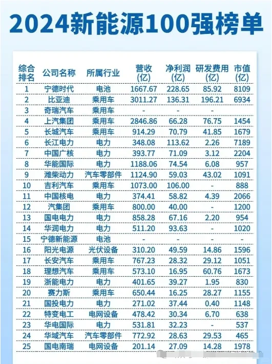 2024年中国新能源100强榜单