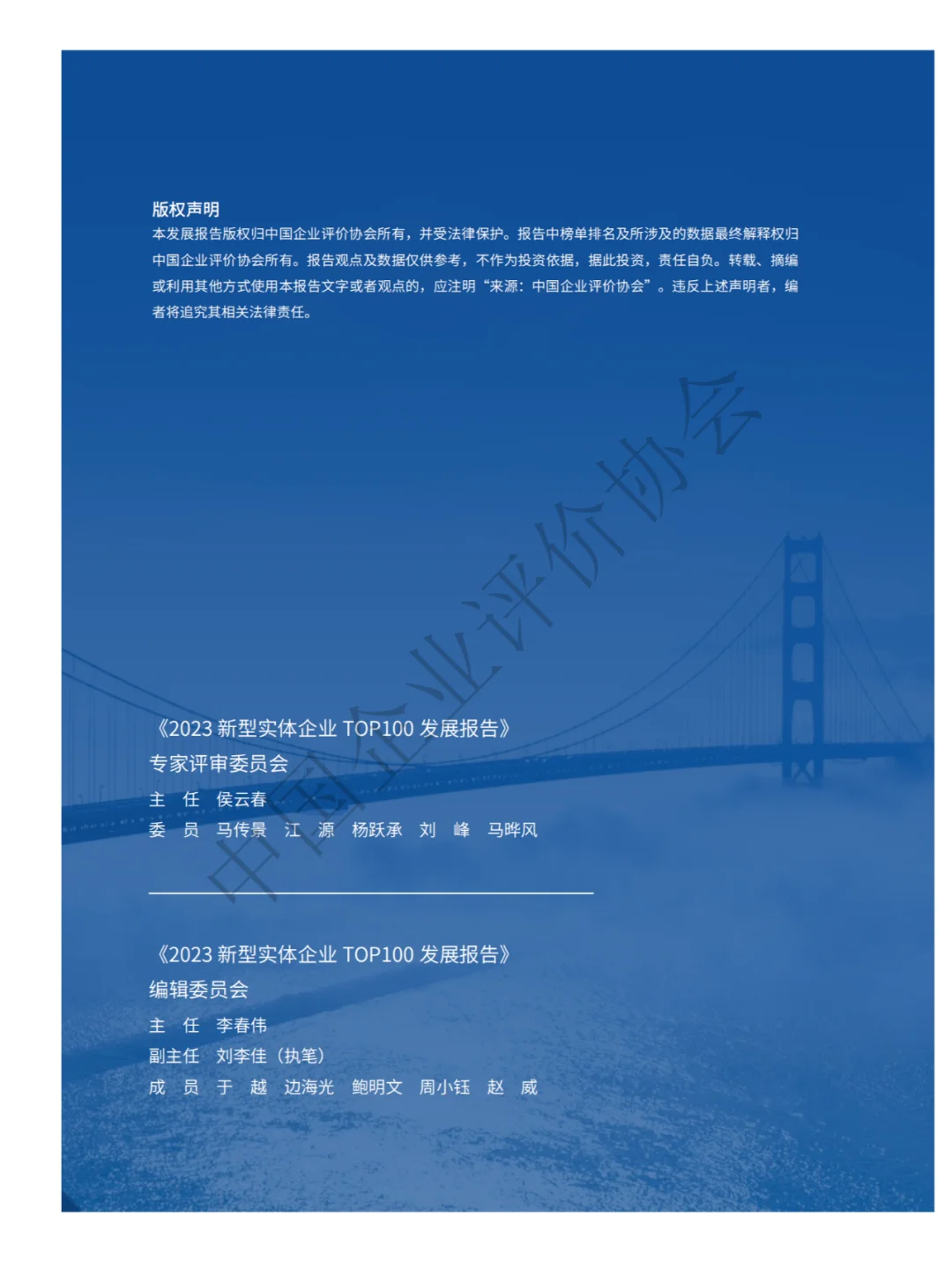 2023中国实体企业TOP100发展报告