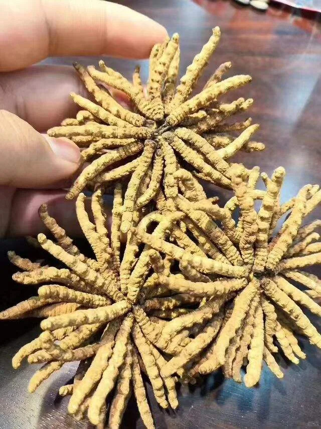 犀浦烟酒礼品回收大量需求