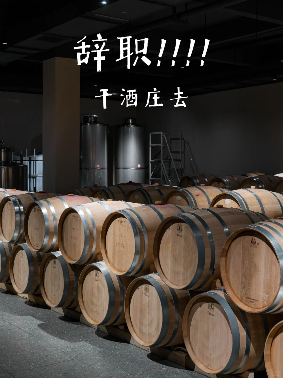 辞职，干酒庄去｜贺兰山东麓半路出家的庄主