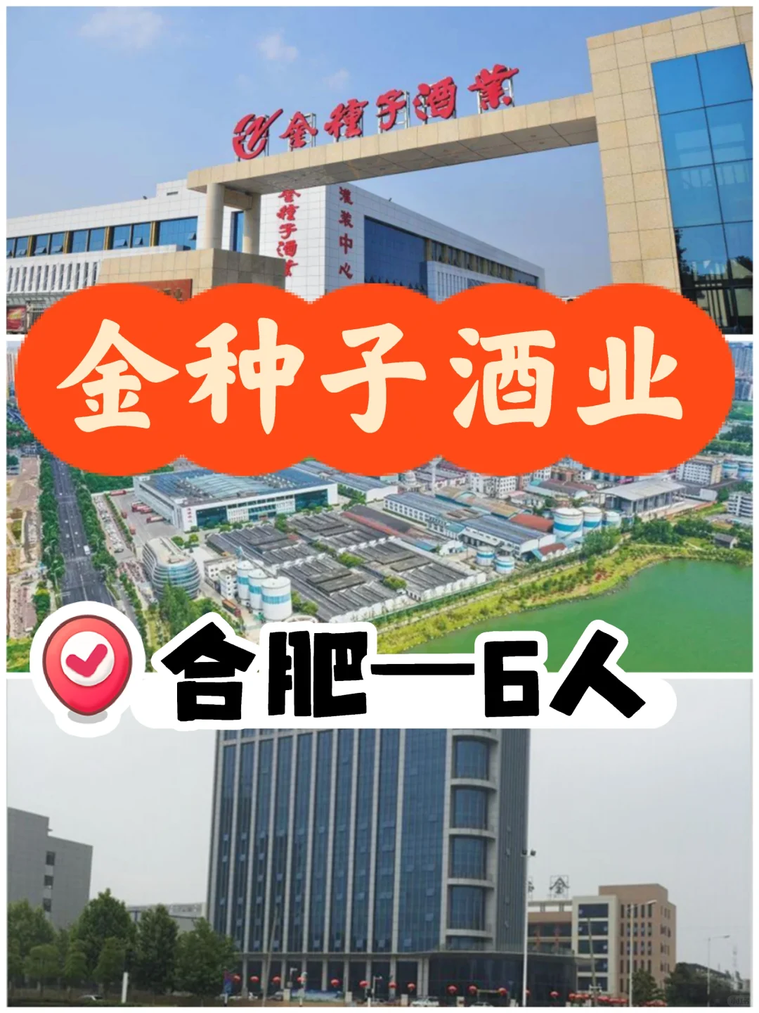 金种子（国企，合肥岗）招6人，五险一金