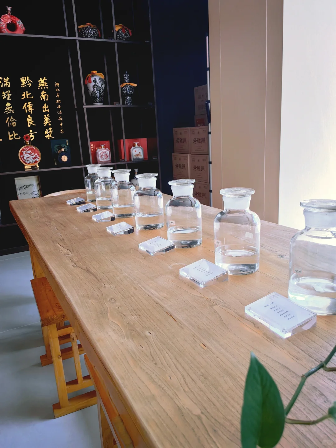 给在邯郸备婚的姐妹推荐一款本地磁州酒