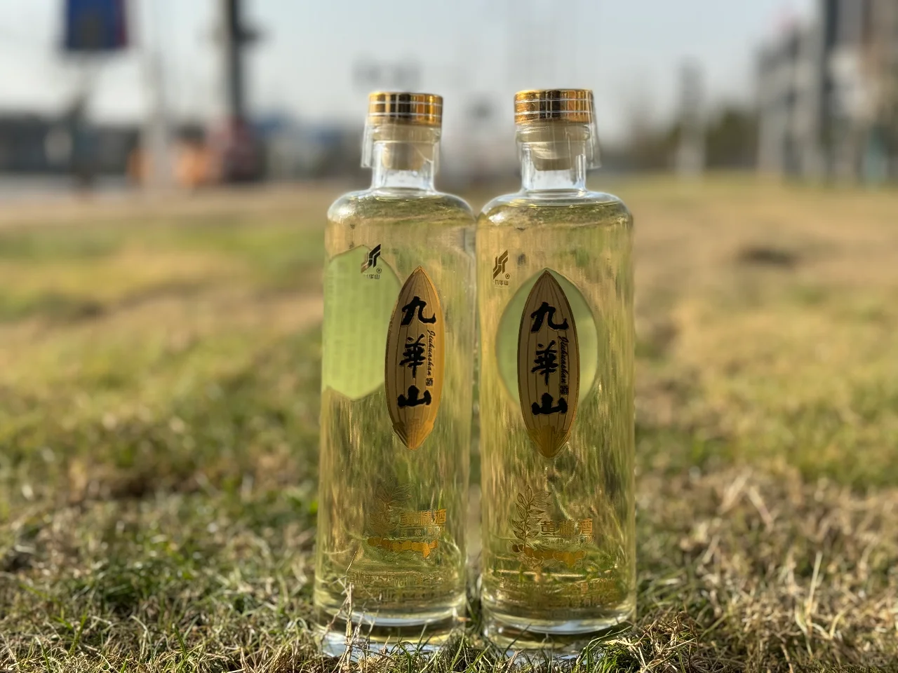 这款酒居然让我爱上了白酒！