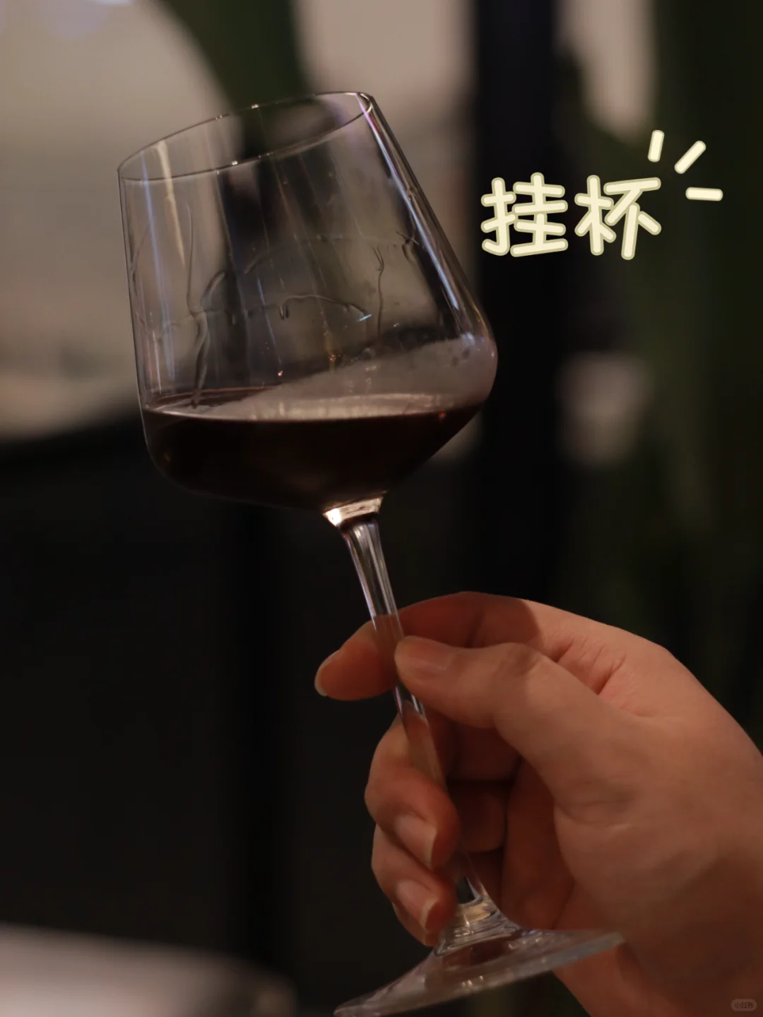 ?品鉴级红酒?49元轻松微醺不上头