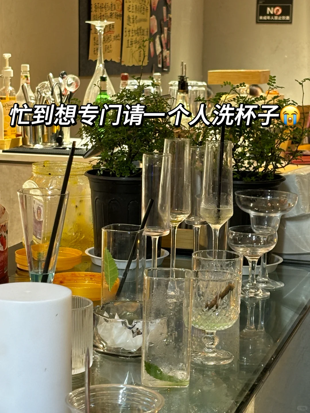 女生裸辞创业3个?️回本，酒馆品牌打造