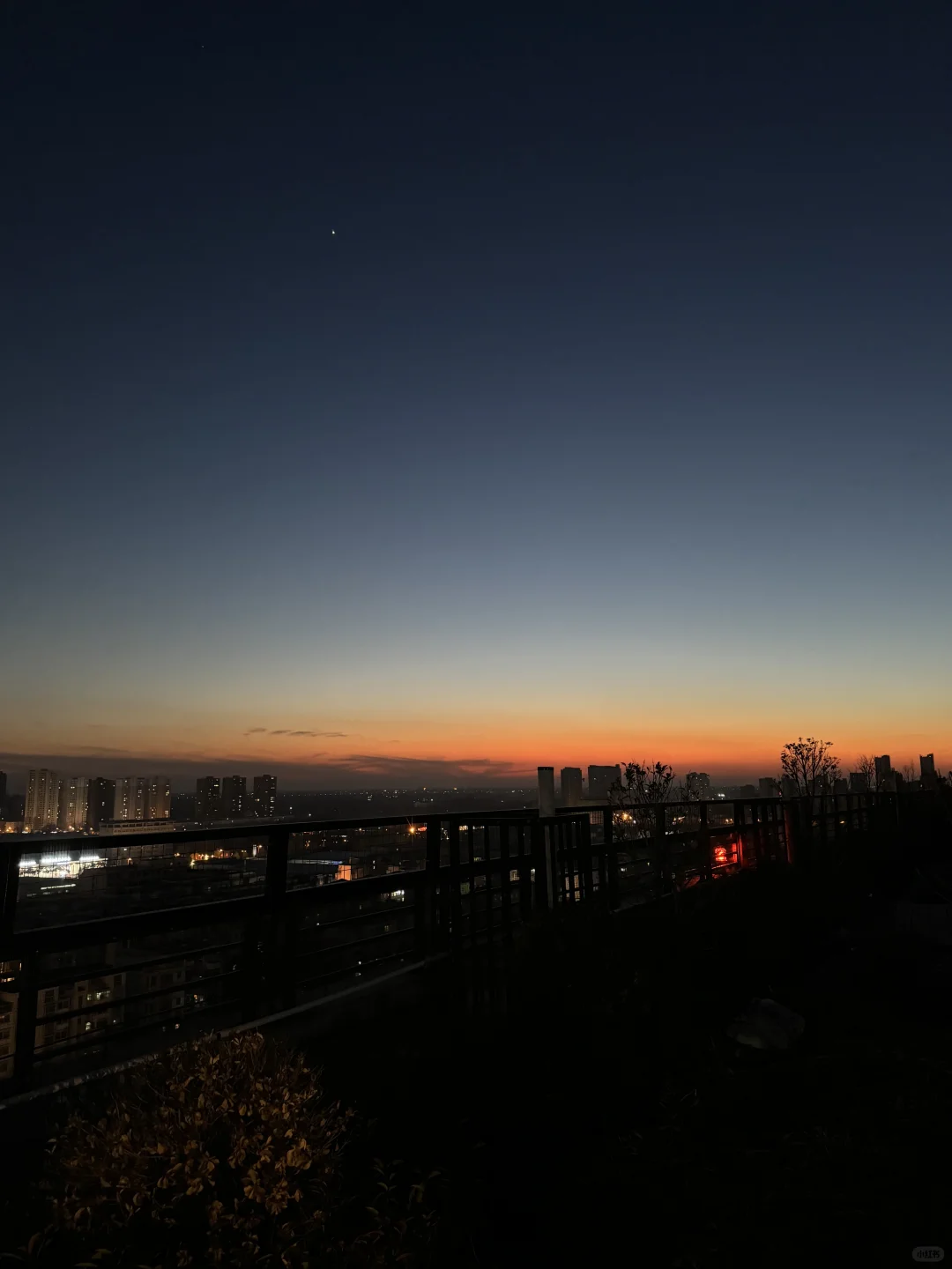 在小县城当调酒师