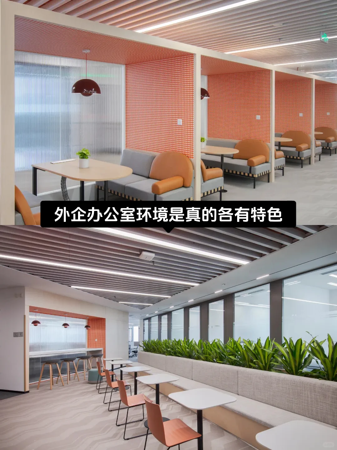 有能力的：大胆尝试芯片半导体外企！