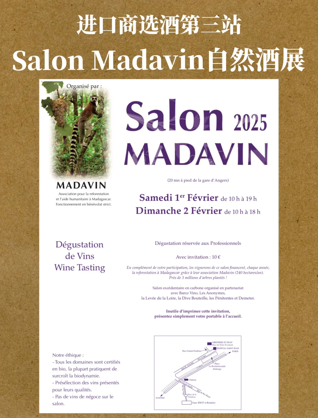 进口商选酒第三站——Salon Madavin