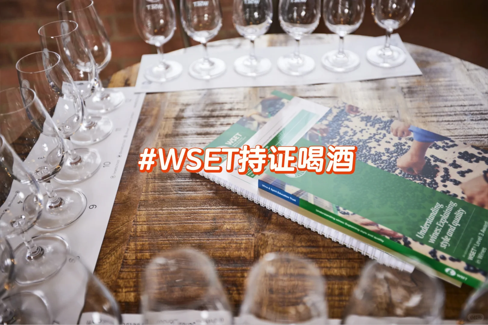 葡萄酒课程?WSET喝懂葡萄酒天津开课❗❗