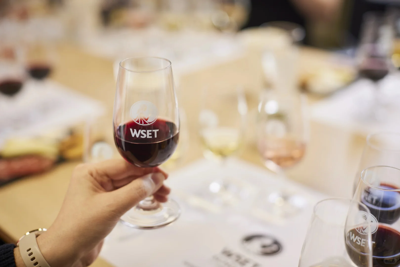 葡萄酒课程?WSET喝懂葡萄酒天津开课❗❗