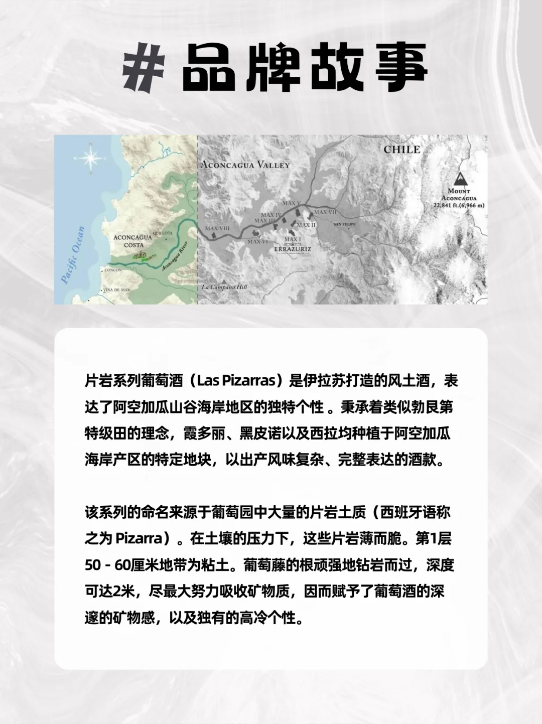 每日认识一款酒?片岩黑皮诺干红葡萄酒