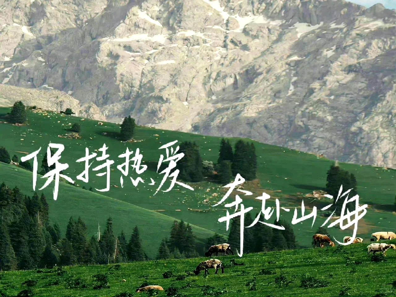 适合考研人的平板壁纸