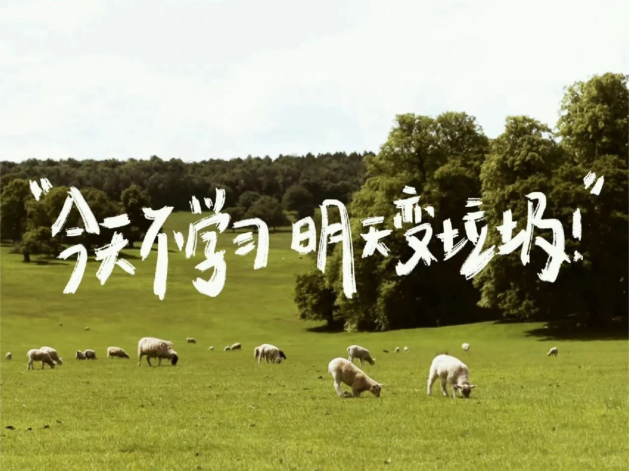 适合考研人的平板壁纸