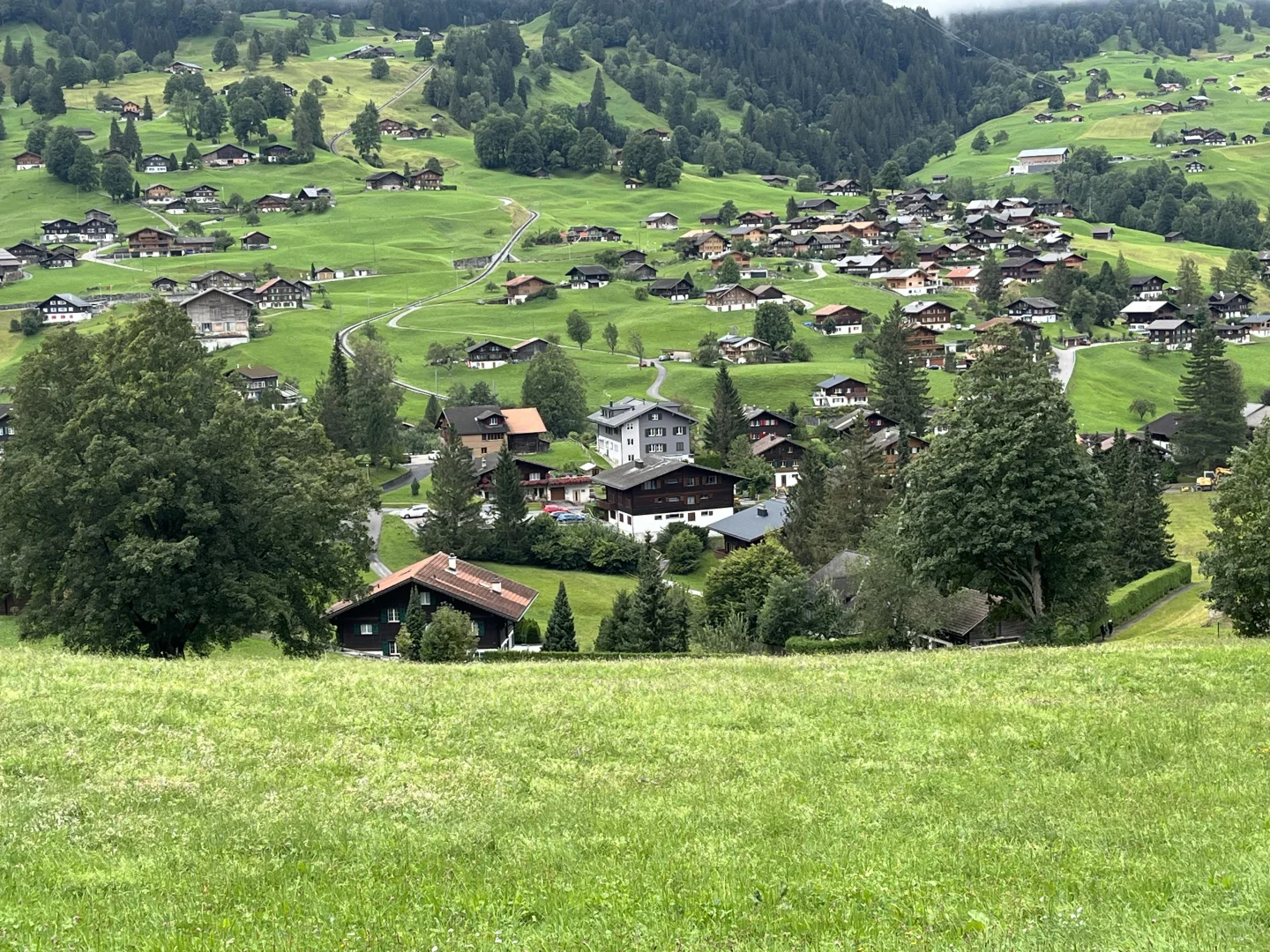 我在瑞士??拍到了人生壁纸