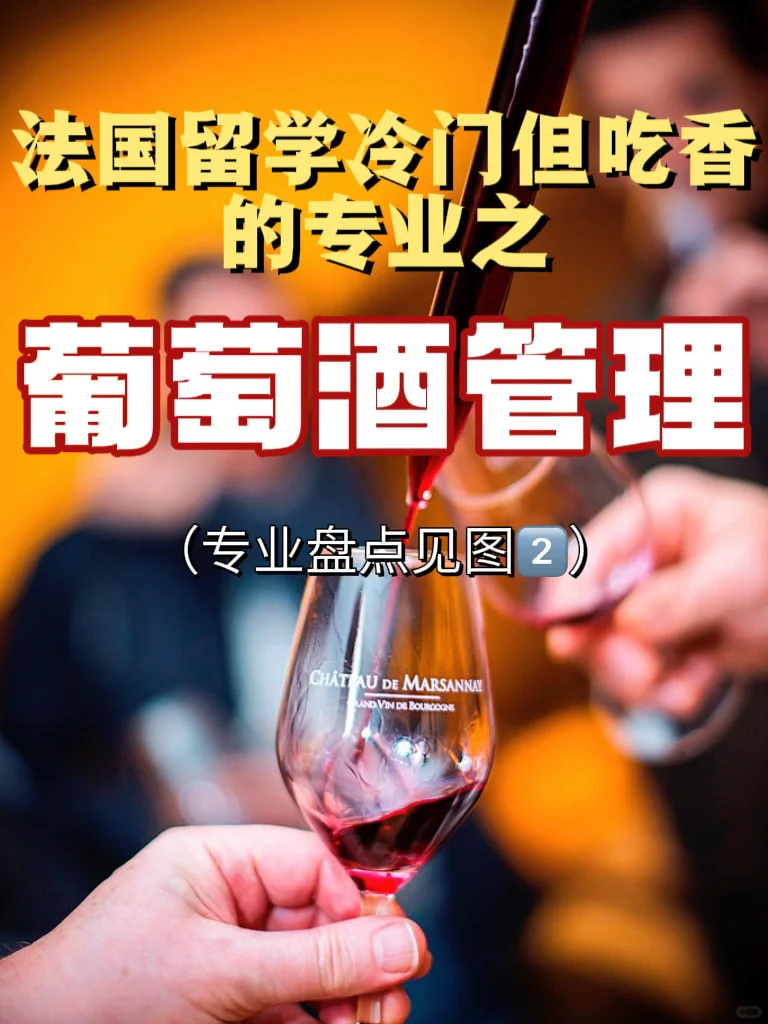 ?法国高商葡萄酒管理专业，留学党必冲！??