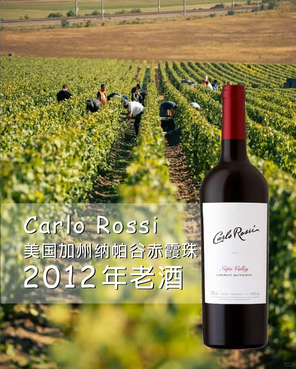 加州 2024 年酿酒葡萄产量或创 20 年来新低