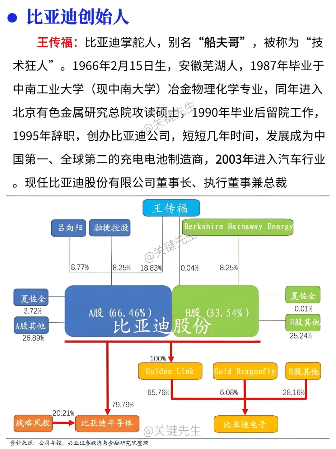 一天吃透一家龙头公司 NO.1 比亚迪