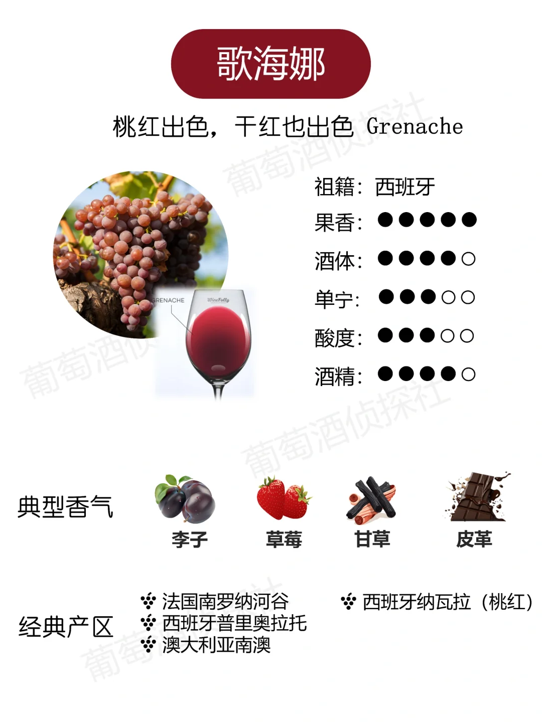 纯干货❗这些品种，涵盖了市面90%的酒