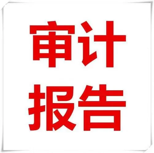 高企申报，审计报告