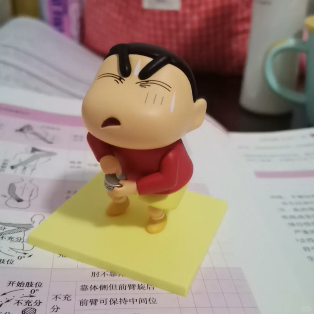 保定哪里招没证的康复应届生