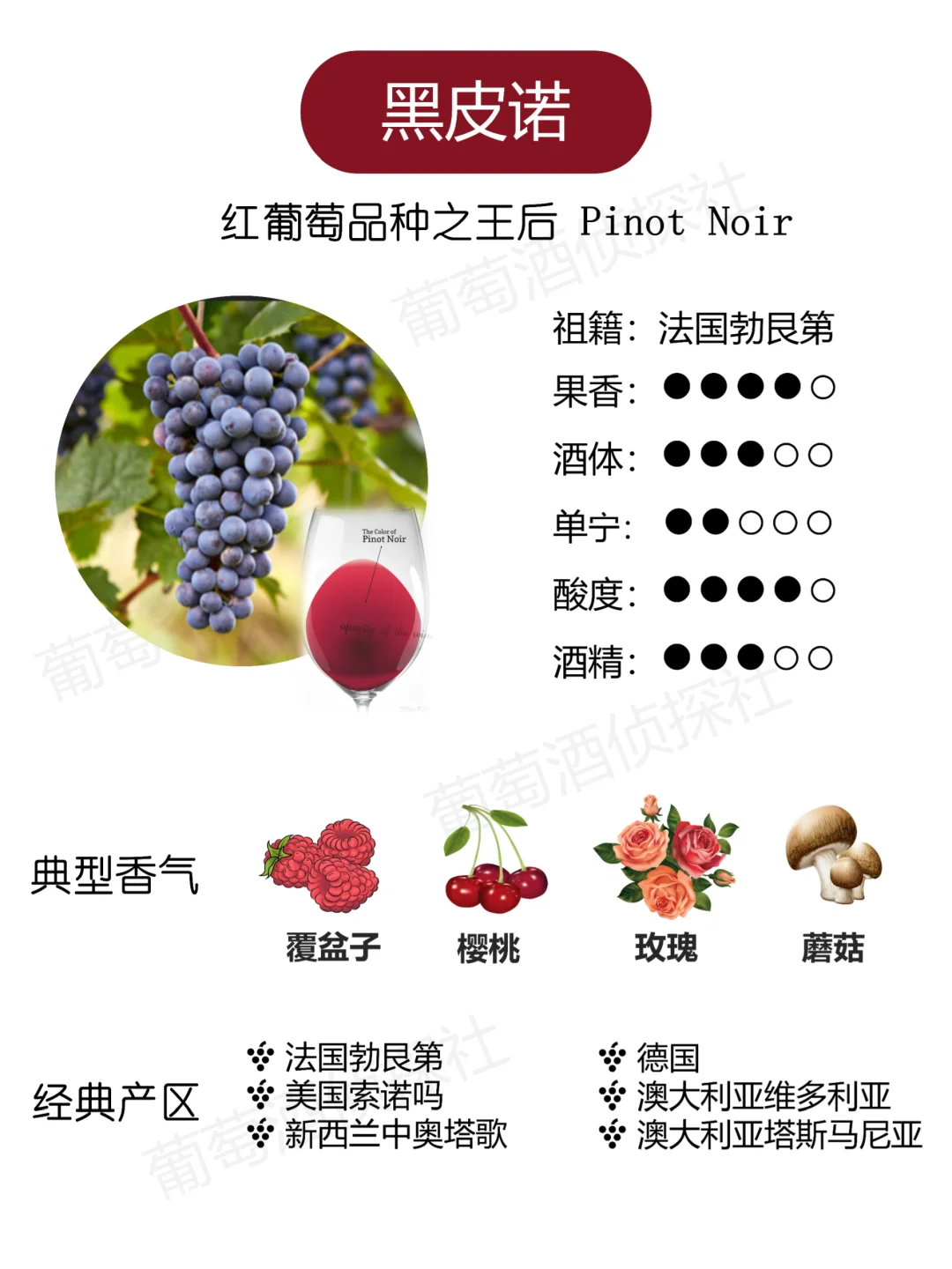 纯干货❗这些品种，涵盖了市面90%的酒
