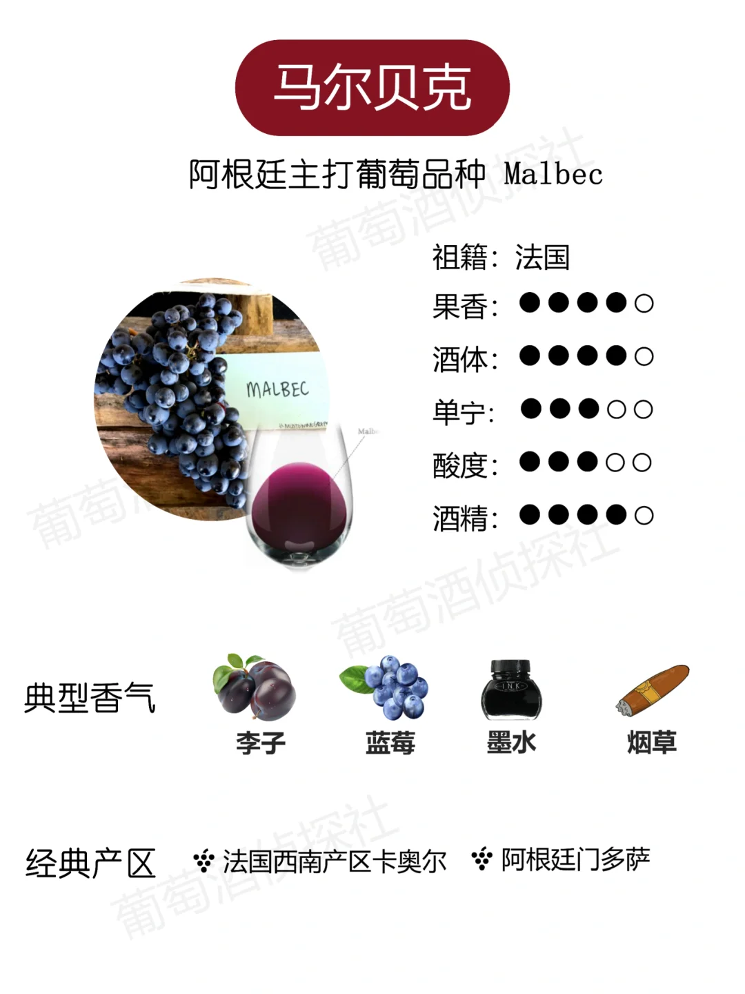 纯干货❗这些品种，涵盖了市面90%的酒