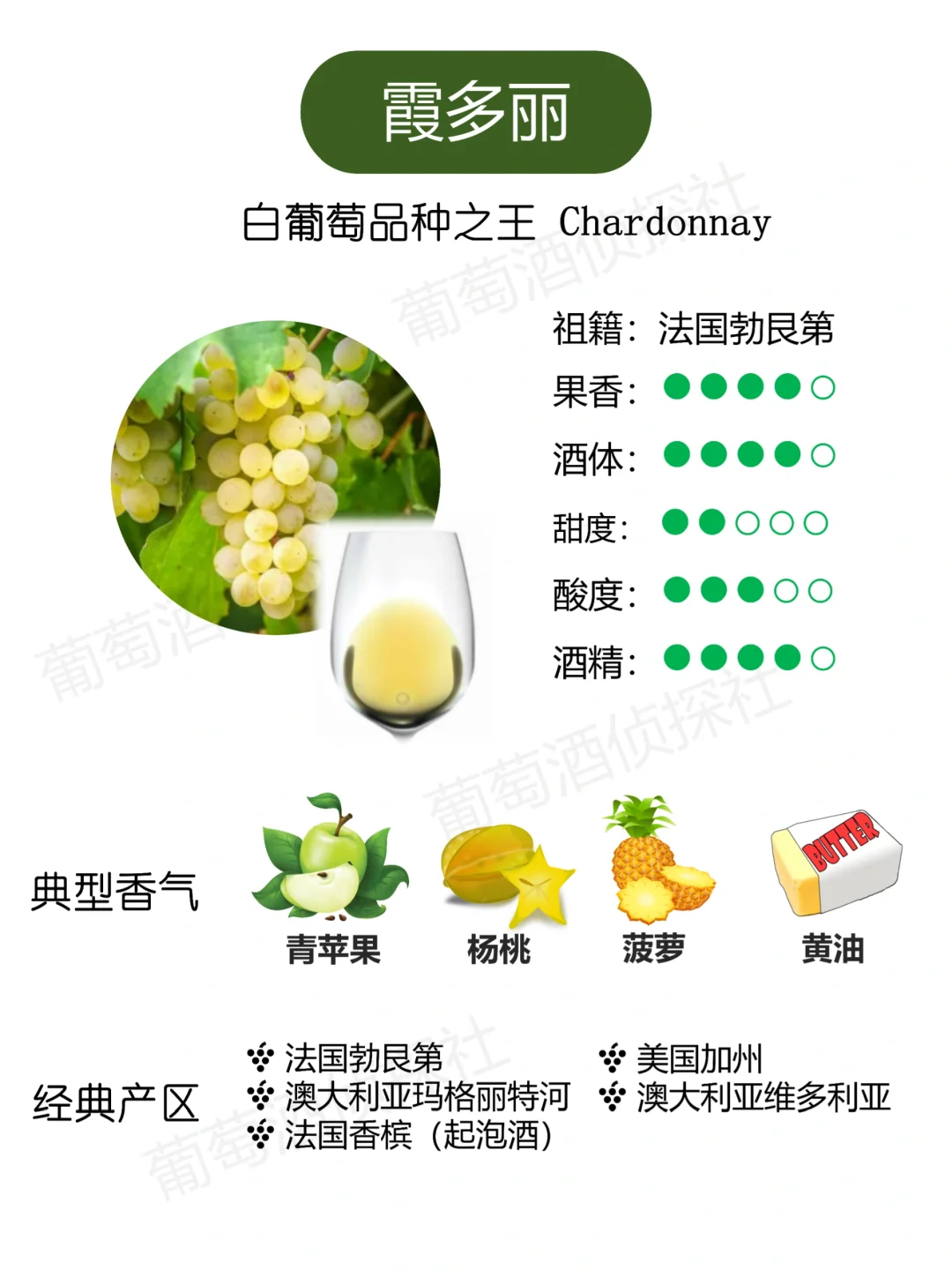 纯干货❗这些品种，涵盖了市面90%的酒