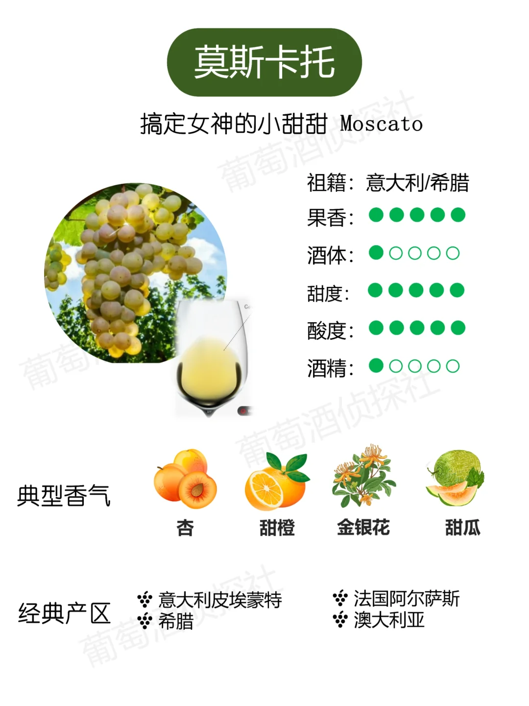 纯干货❗这些品种，涵盖了市面90%的酒