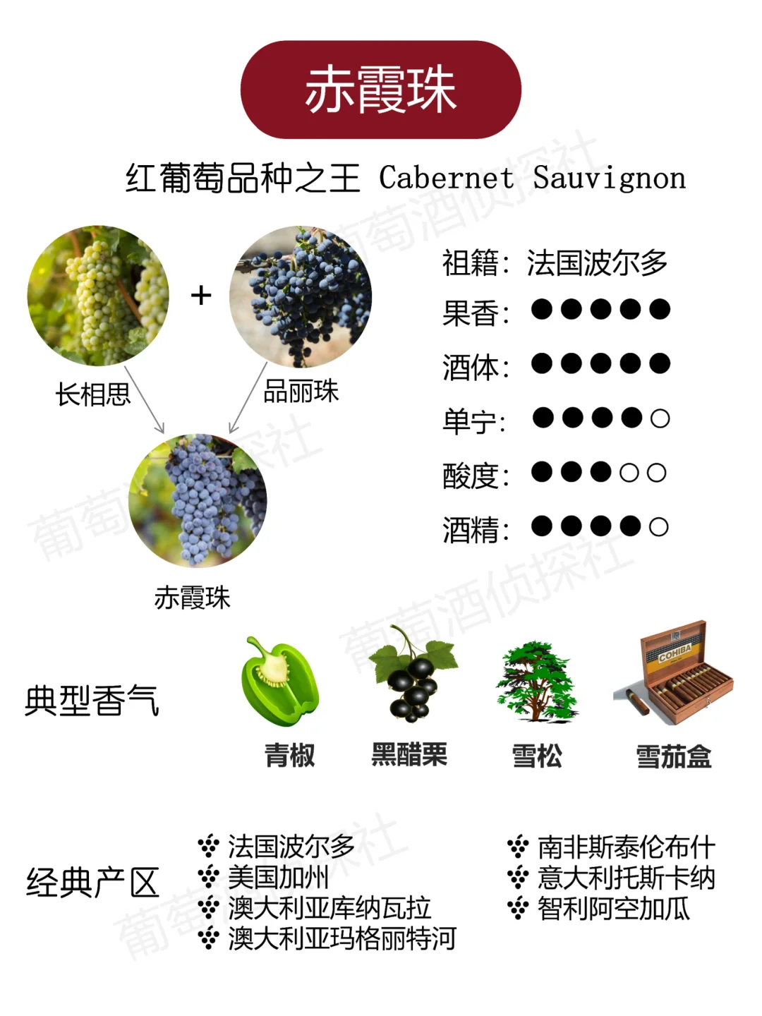 纯干货❗这些品种，涵盖了市面90%的酒