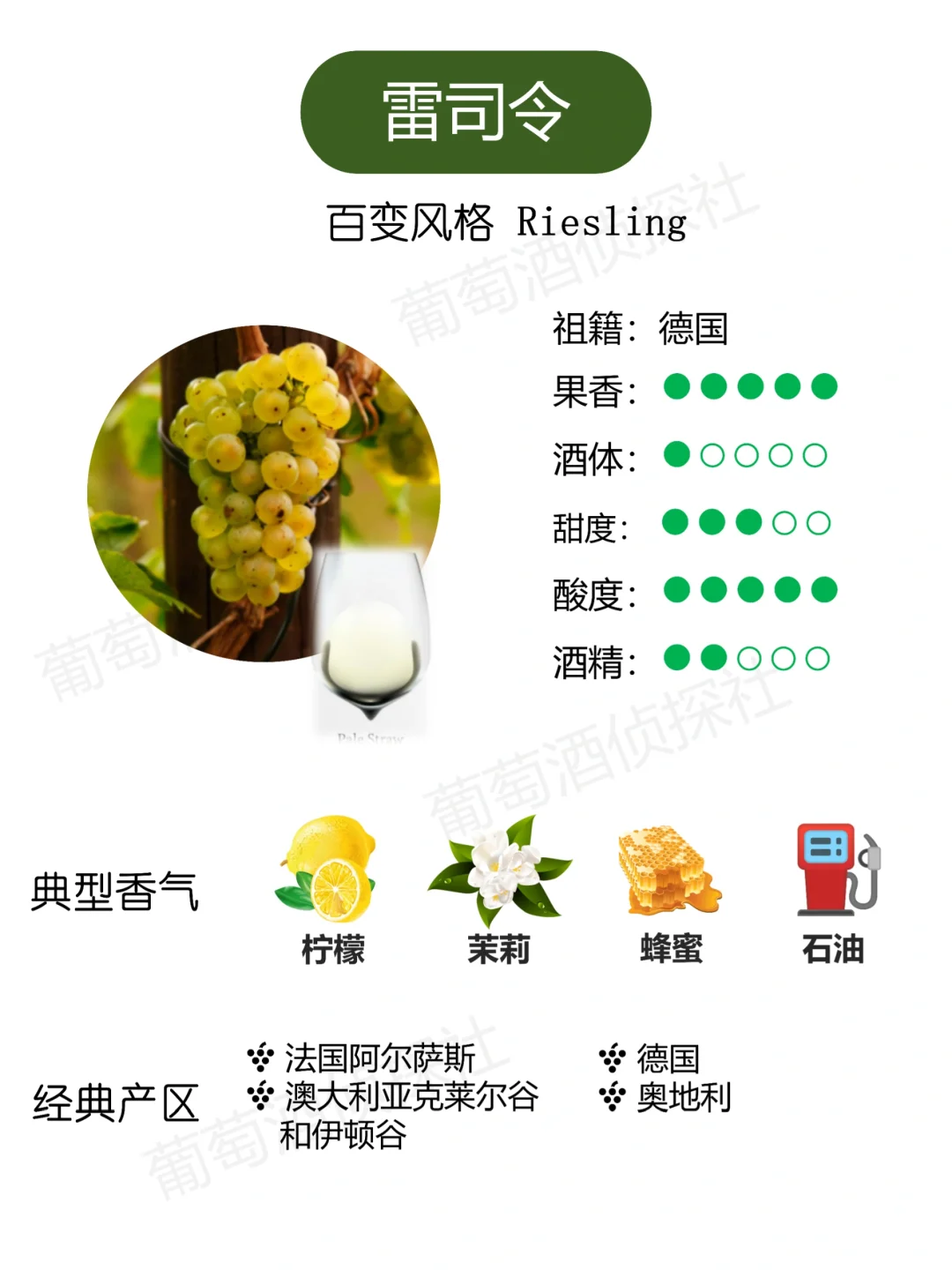 纯干货❗这些品种，涵盖了市面90%的酒
