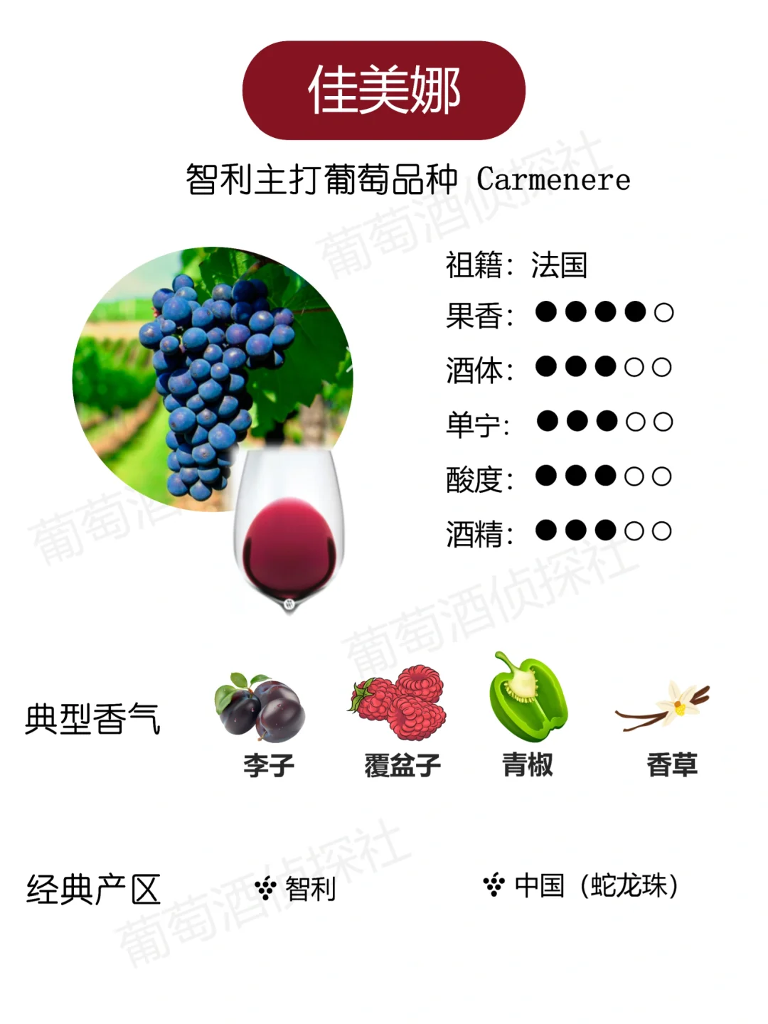 纯干货❗这些品种，涵盖了市面90%的酒